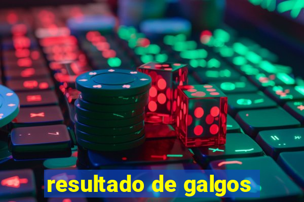 resultado de galgos